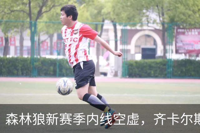 森林狼新赛季内线空虚，齐卡尔斯基需要抓住机会